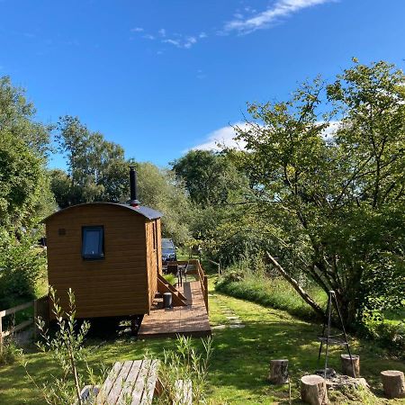Herdwick Shepherd Hut Exeter Eksteriør billede