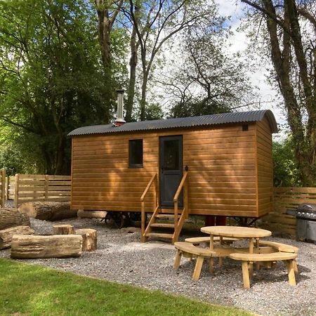Herdwick Shepherd Hut Exeter Eksteriør billede