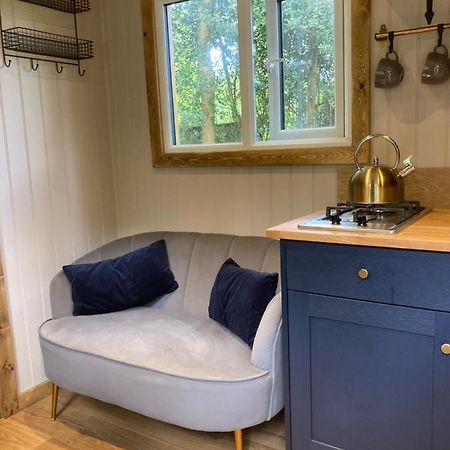Herdwick Shepherd Hut Exeter Eksteriør billede