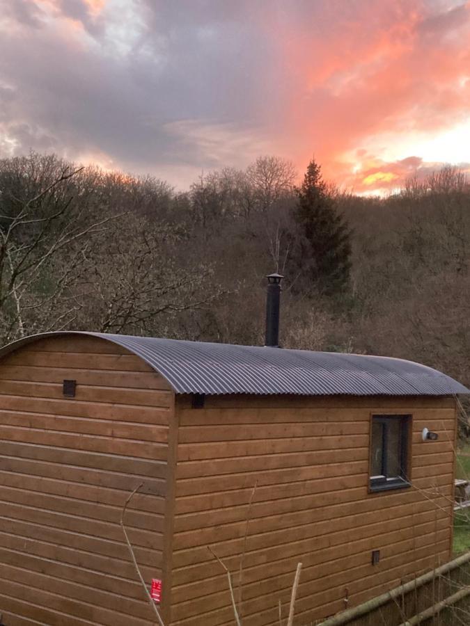 Herdwick Shepherd Hut Exeter Eksteriør billede
